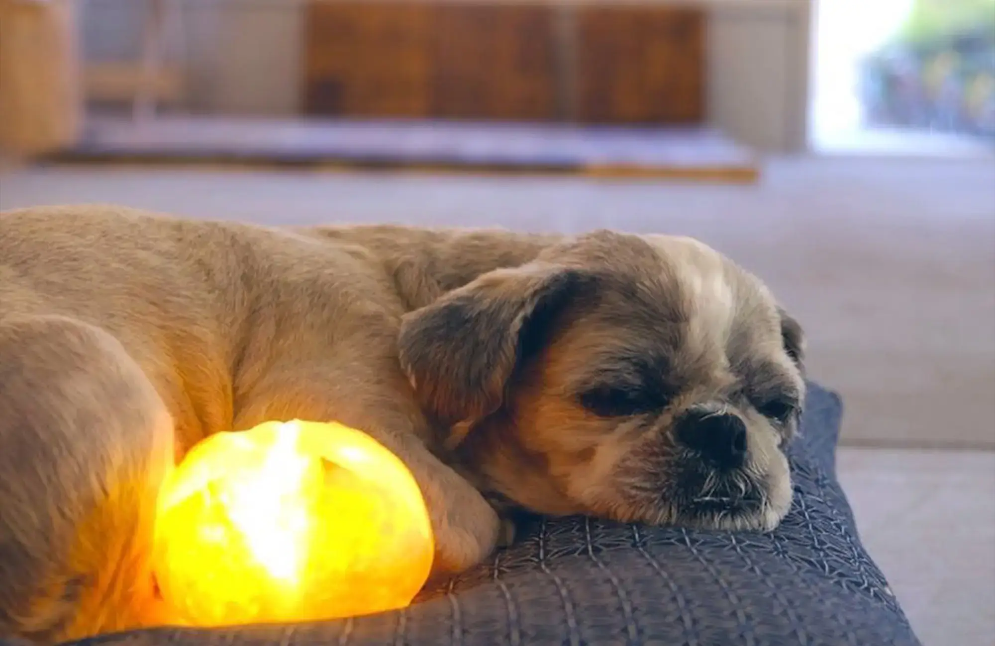 あなたの部屋に世界で一番、おいしそうな灯りを