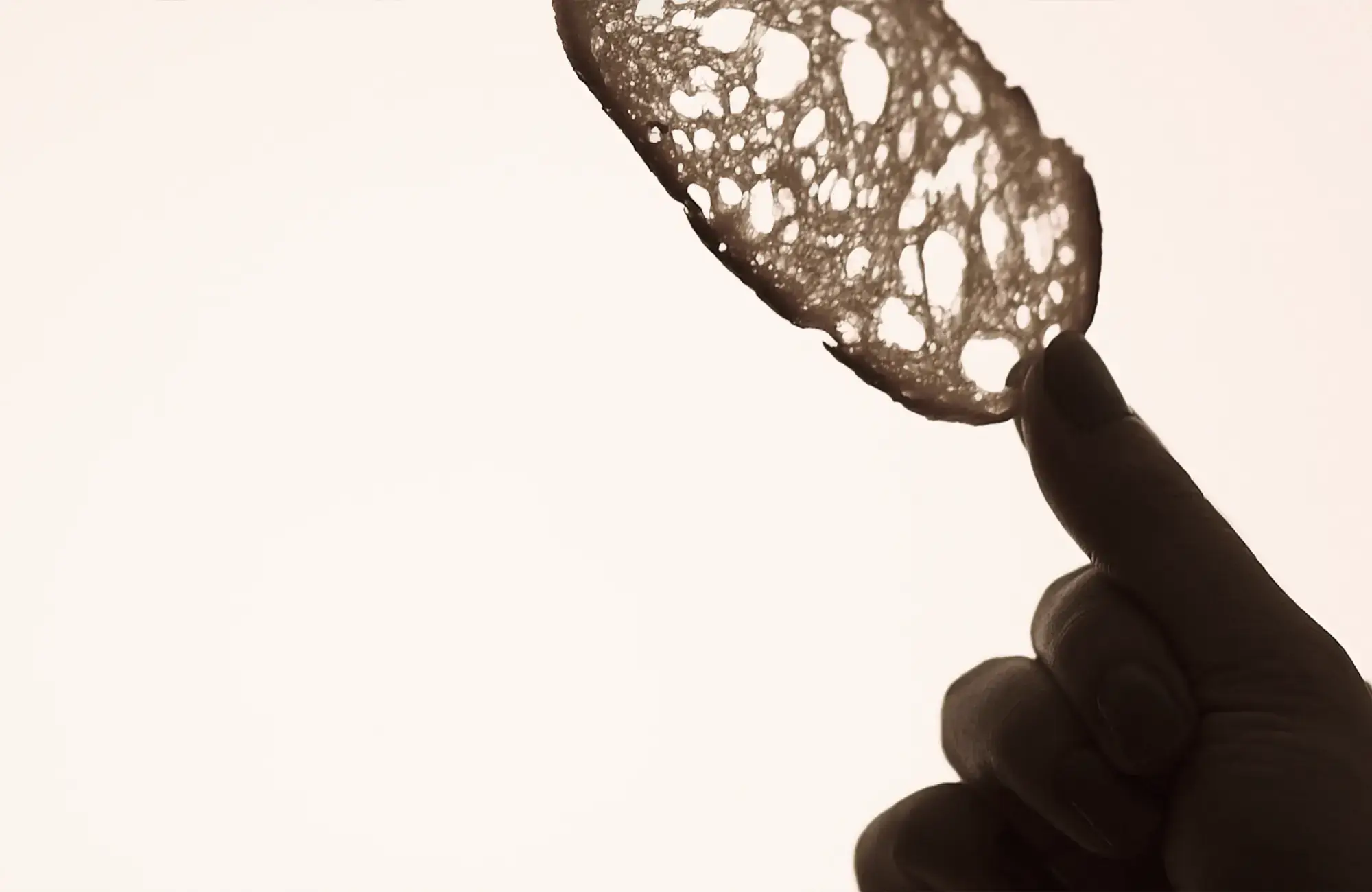 「パンを愛でる」モノづくりと、コトづくり。